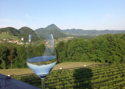 Slovenian incoming workshop 2025