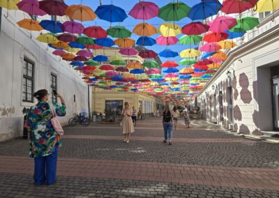 Premio Pr, VisitTimisoara, Temesvári Turisztikai Hivatal